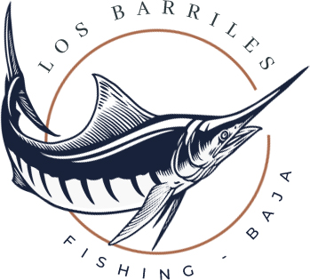 Los Barriles Fishing