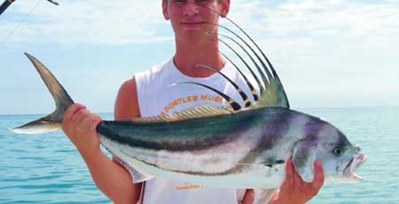 Roosterfish